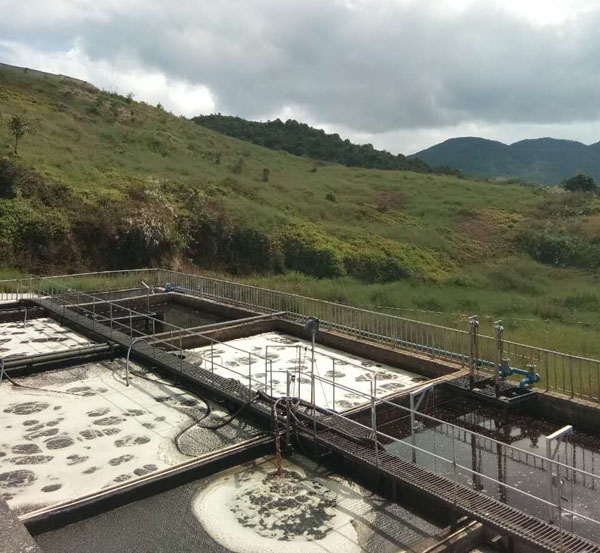 造紙機(jī)廠處理效果